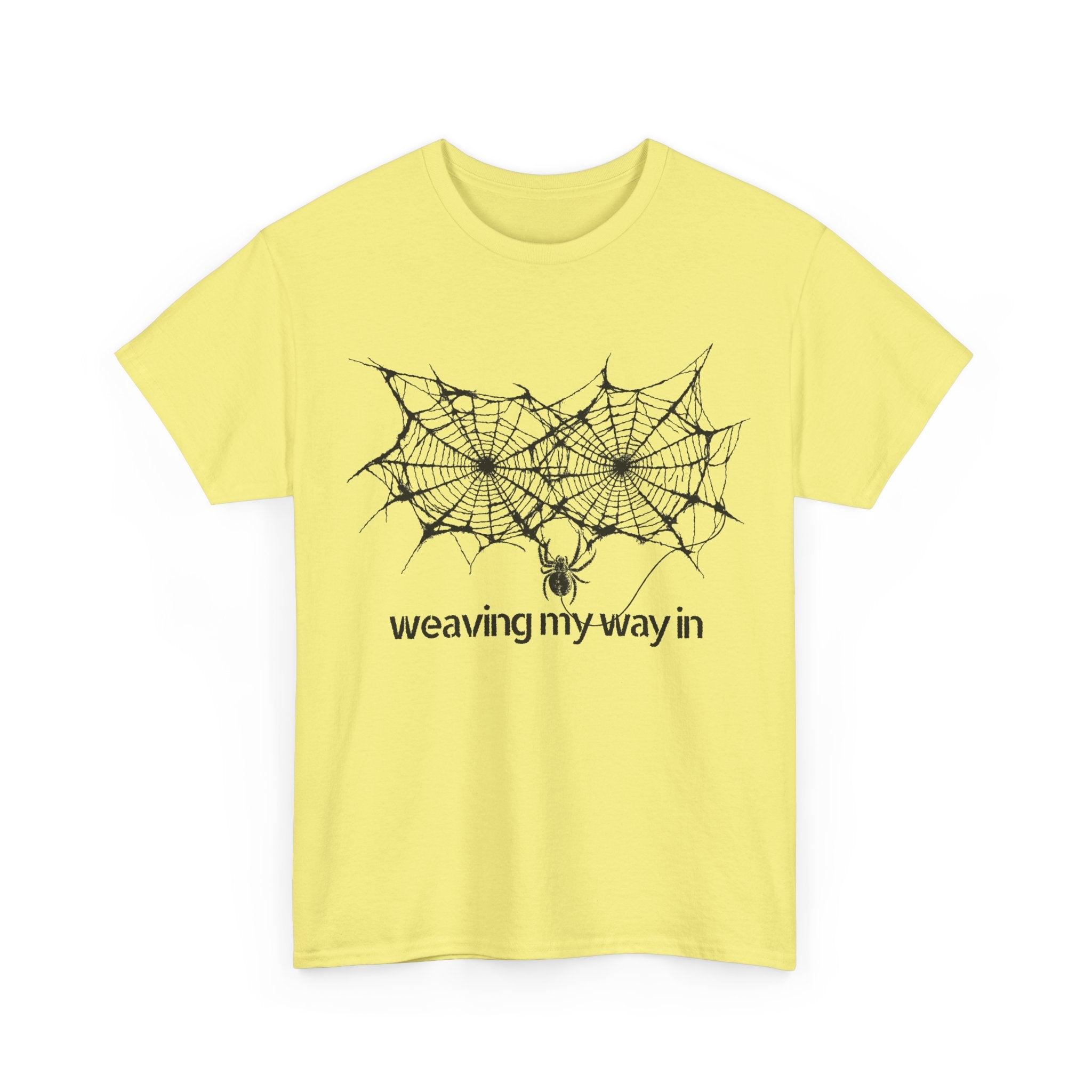 weaving my way in, spider