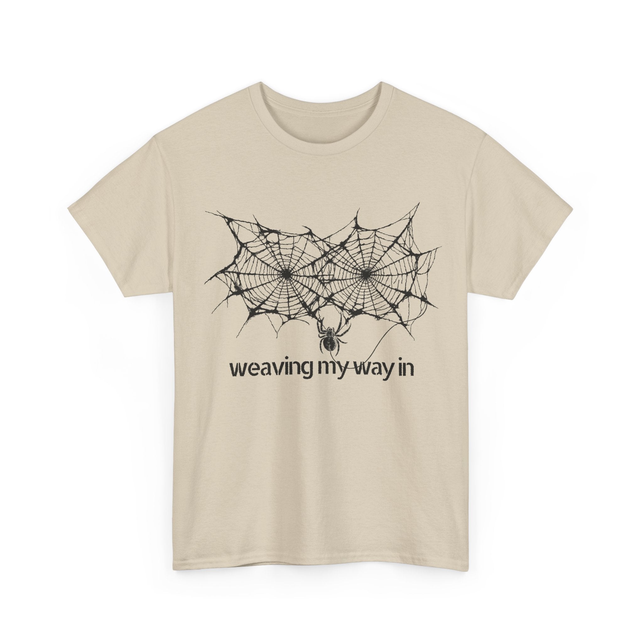 weaving my way in, spider