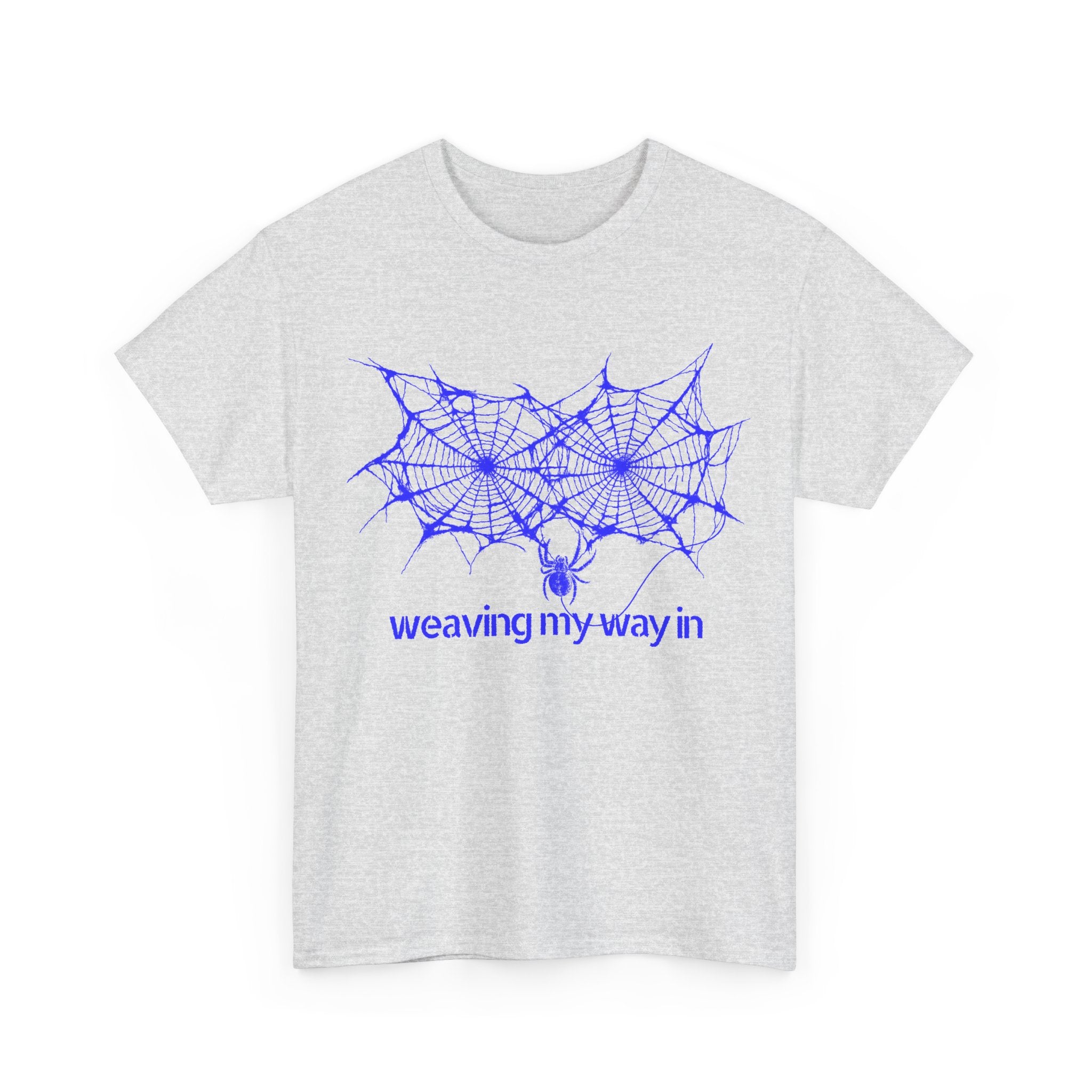 weaving my way in, spider