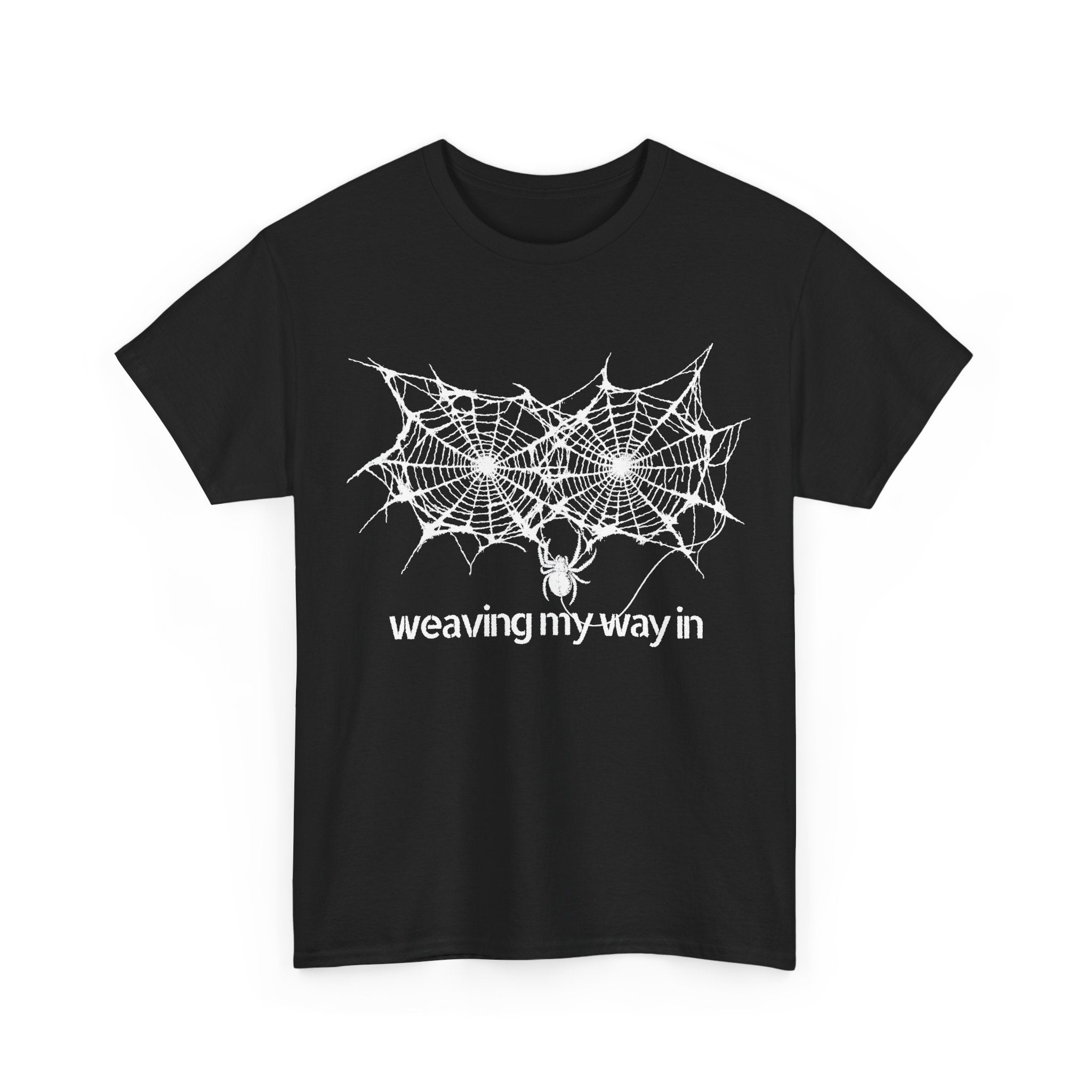 weaving my way in, spider