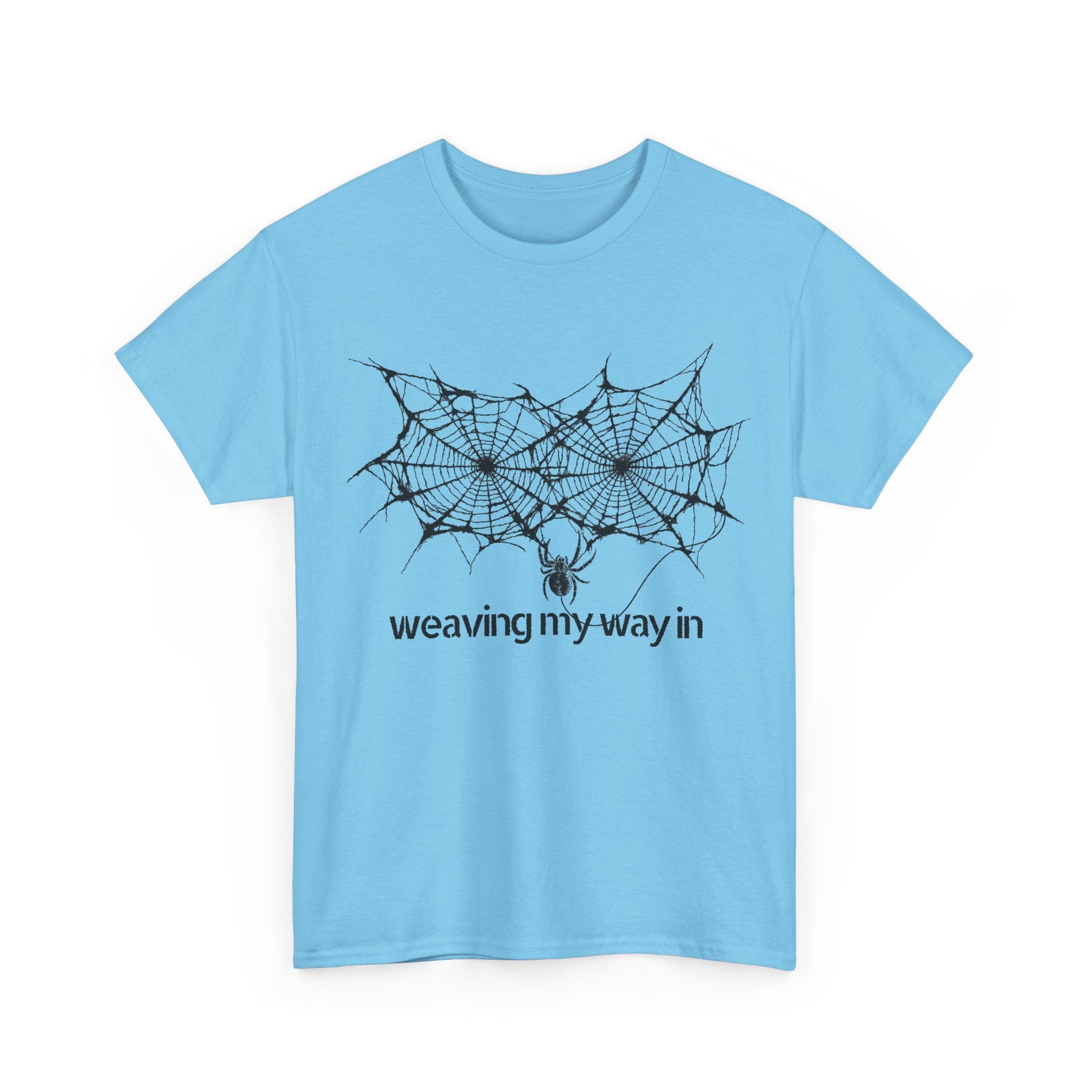weaving my way in, spider